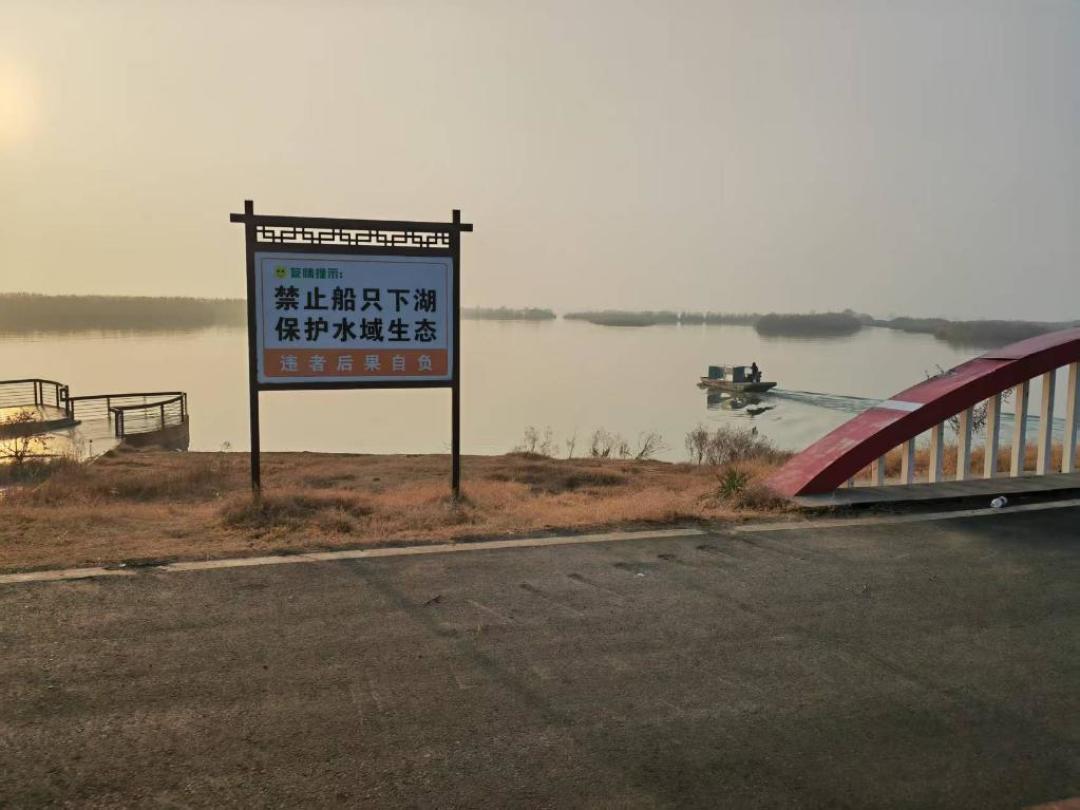 探鱼器全是鱼却钓不上?秋钓前想买这台几百块的“黑科技”,先看完这篇再说