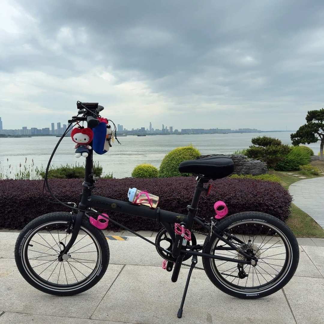一边秒空，一边吃灰：翻完全网的折叠车退坑帖，我总结出5种剧本