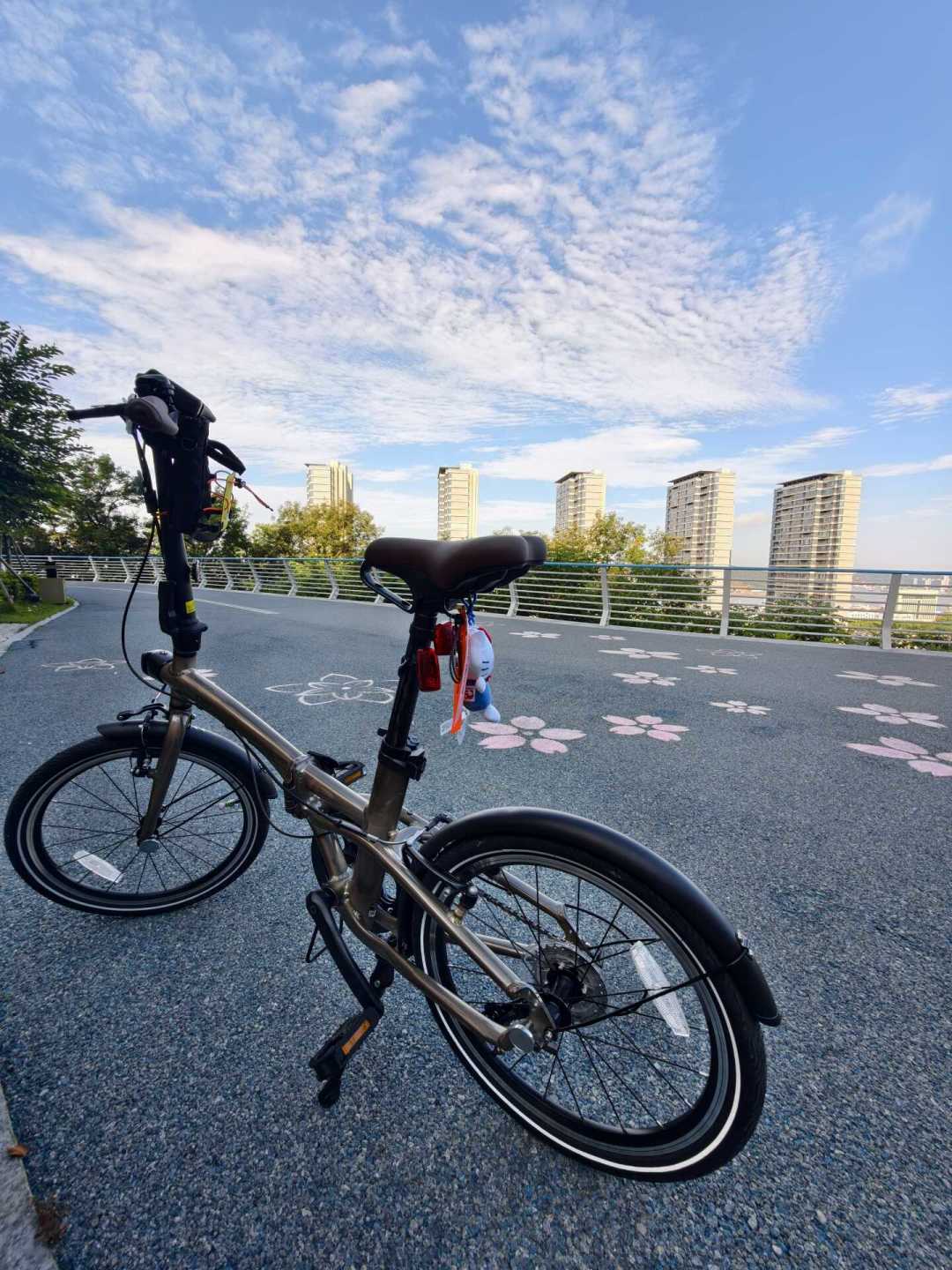 一边秒空，一边吃灰：翻完全网的折叠车退坑帖，我总结出5种剧本