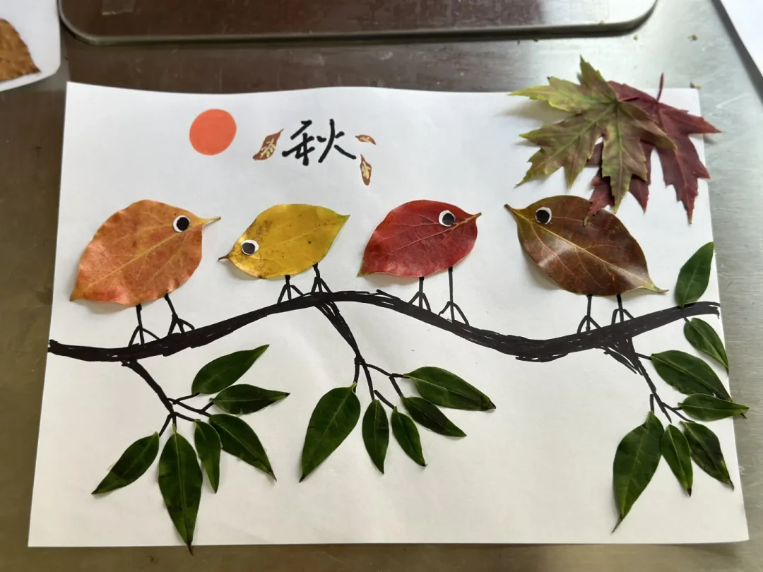 开学还剩一周,“自然收藏”作业还没动?0元DIY和29.9元买现成,各有各的交法