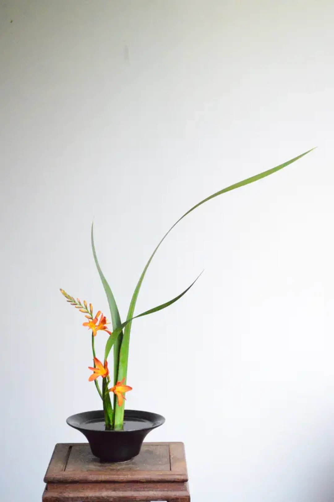 买了一百块的花,还是输给一根狗尾草:对了全网约50篇茶席插花帖,中式插花的3条规则、3档预算和4条红线