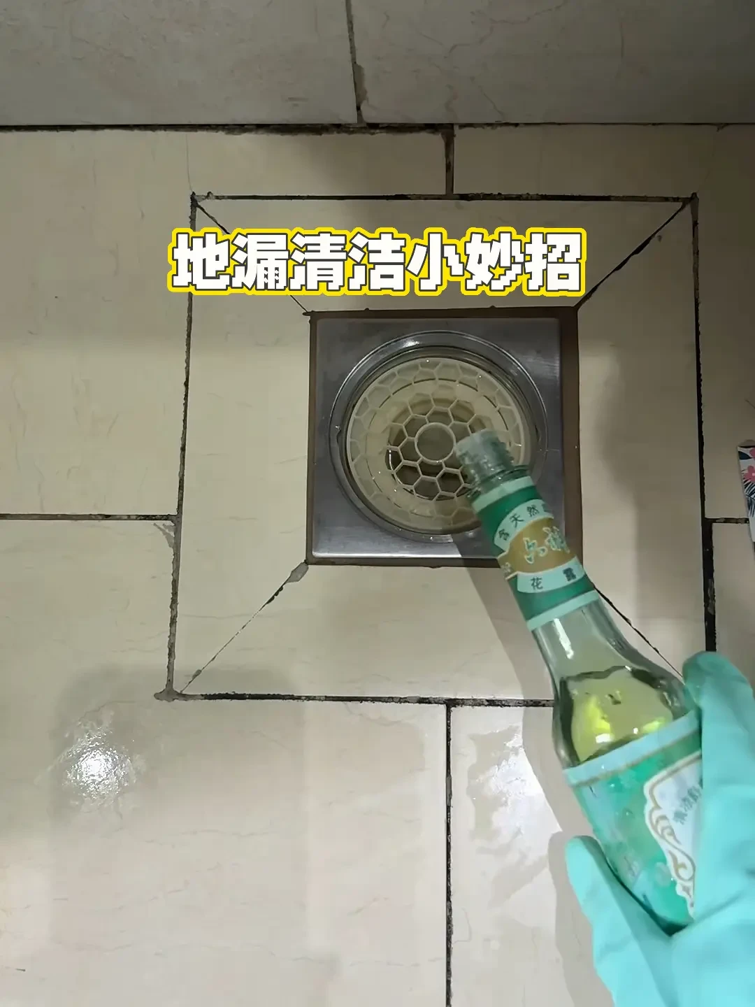 卫生间的小飞虫,夏末最后一波还在爆发:翻完417万播放的科普视频、“摘除眼球”事件和310条评论的翻车帖,我把6个隐藏滋生源和0-300元花钱梯子整理出来了