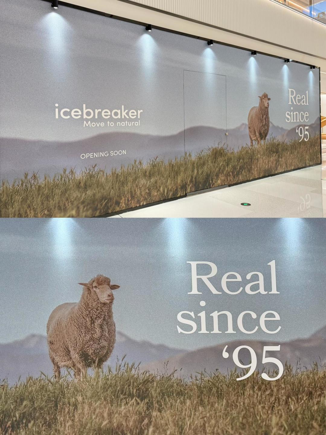 美利奴被149元的大众款抬高了身价:icebreaker的秋冬打底,现在买还是等涨价?