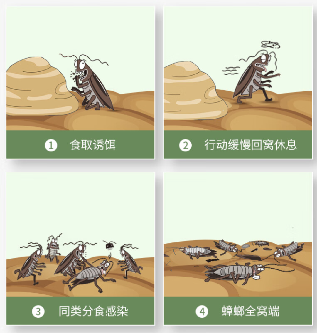 同一支拜灭士,为啥有人一窝端、有人一只没死?被骂智商税,多半是这三步做错了