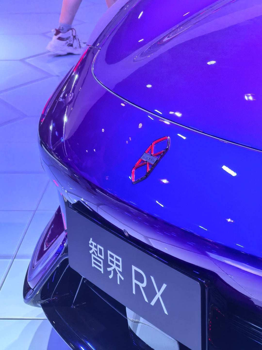 你的新能源车