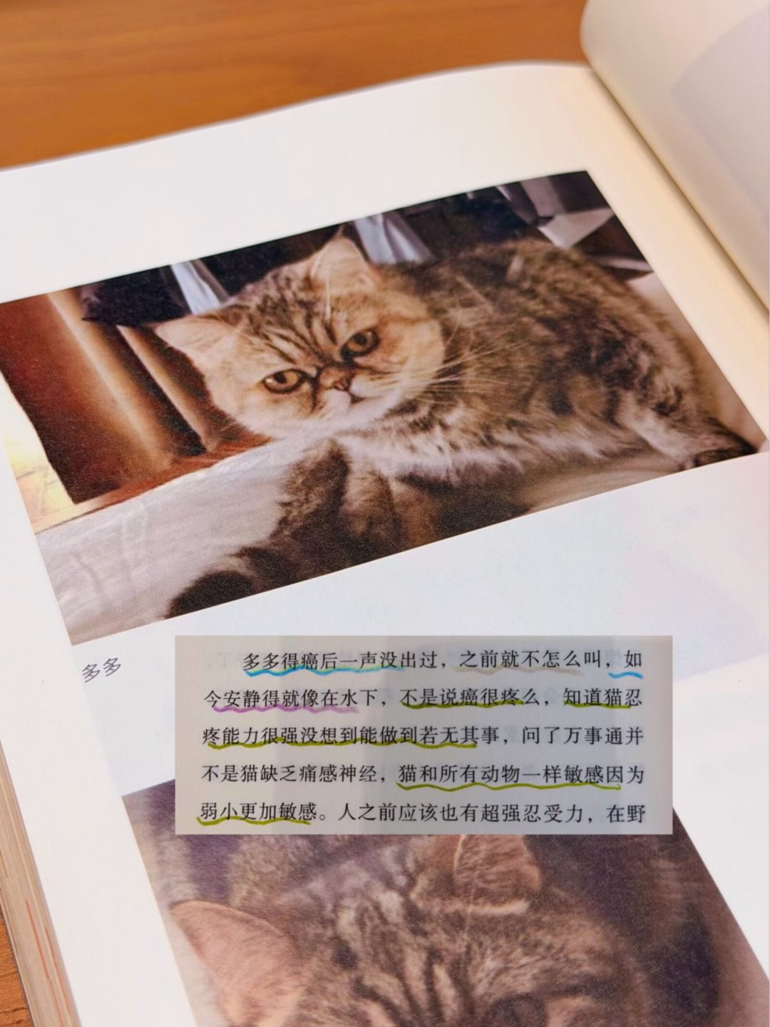 王朔明天68岁：他今年的“复出”有三条路，哪条值得花钱、哪条看免费、哪条别碰