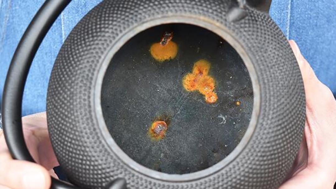 铁壶烧水能到120度，还能软化水质、补铁？先把这三笔账算清楚，再决定掏不掏钱