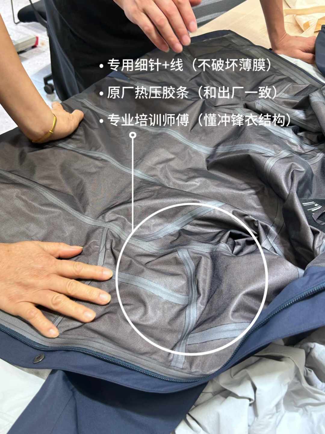 淋了一场雨,鸟就