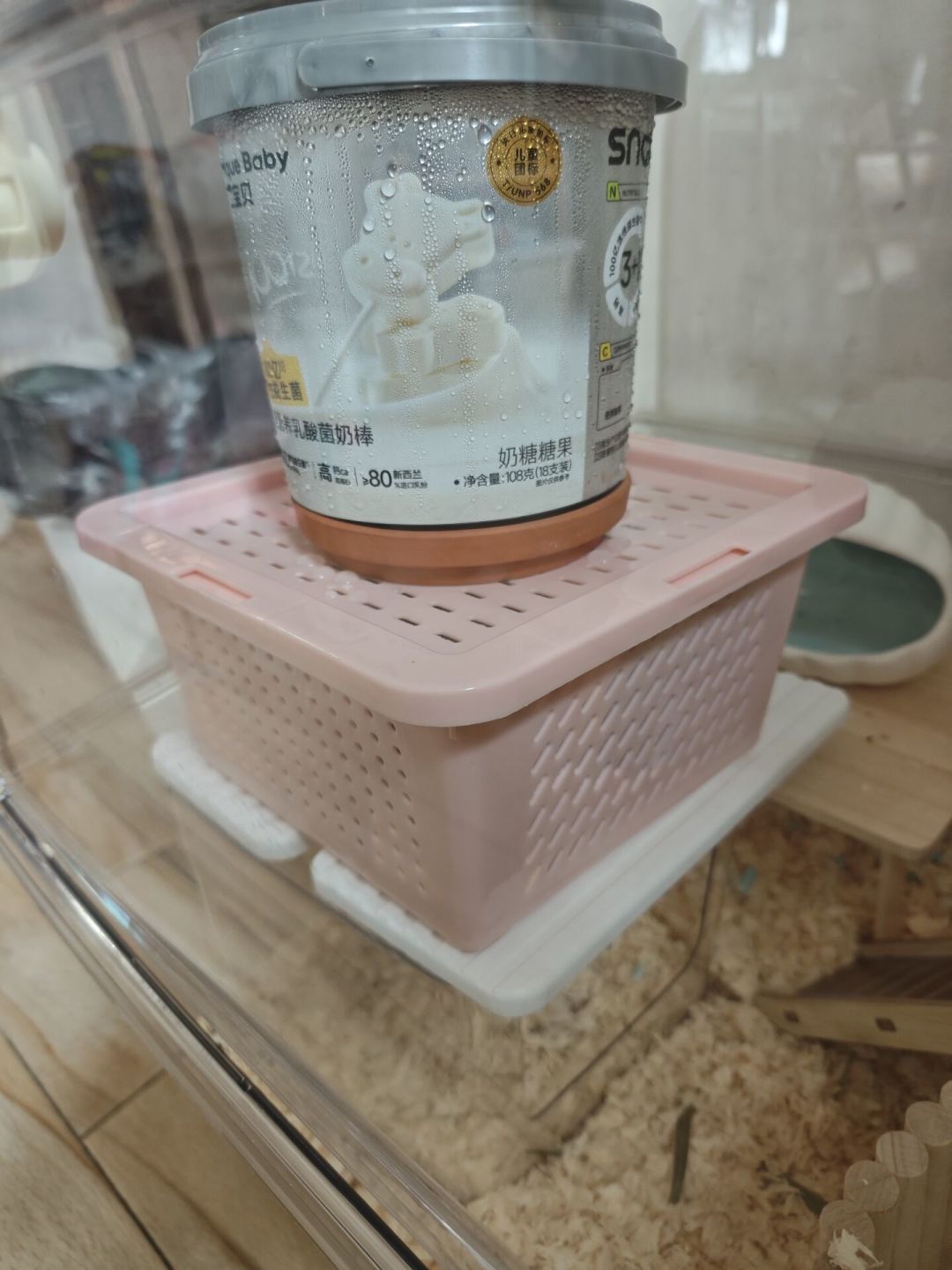 仓鼠中暑急救:泡水、上冰、直吹空调,这些