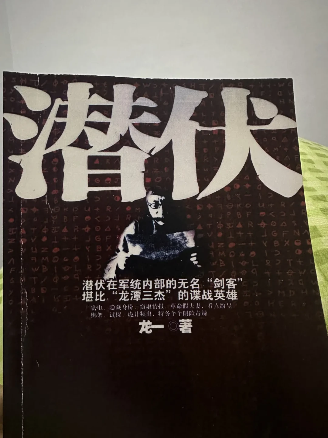 潜伏的结局还没缓过来?我替你读了原著:龙一的1.4万字里,藏着更狠的结局