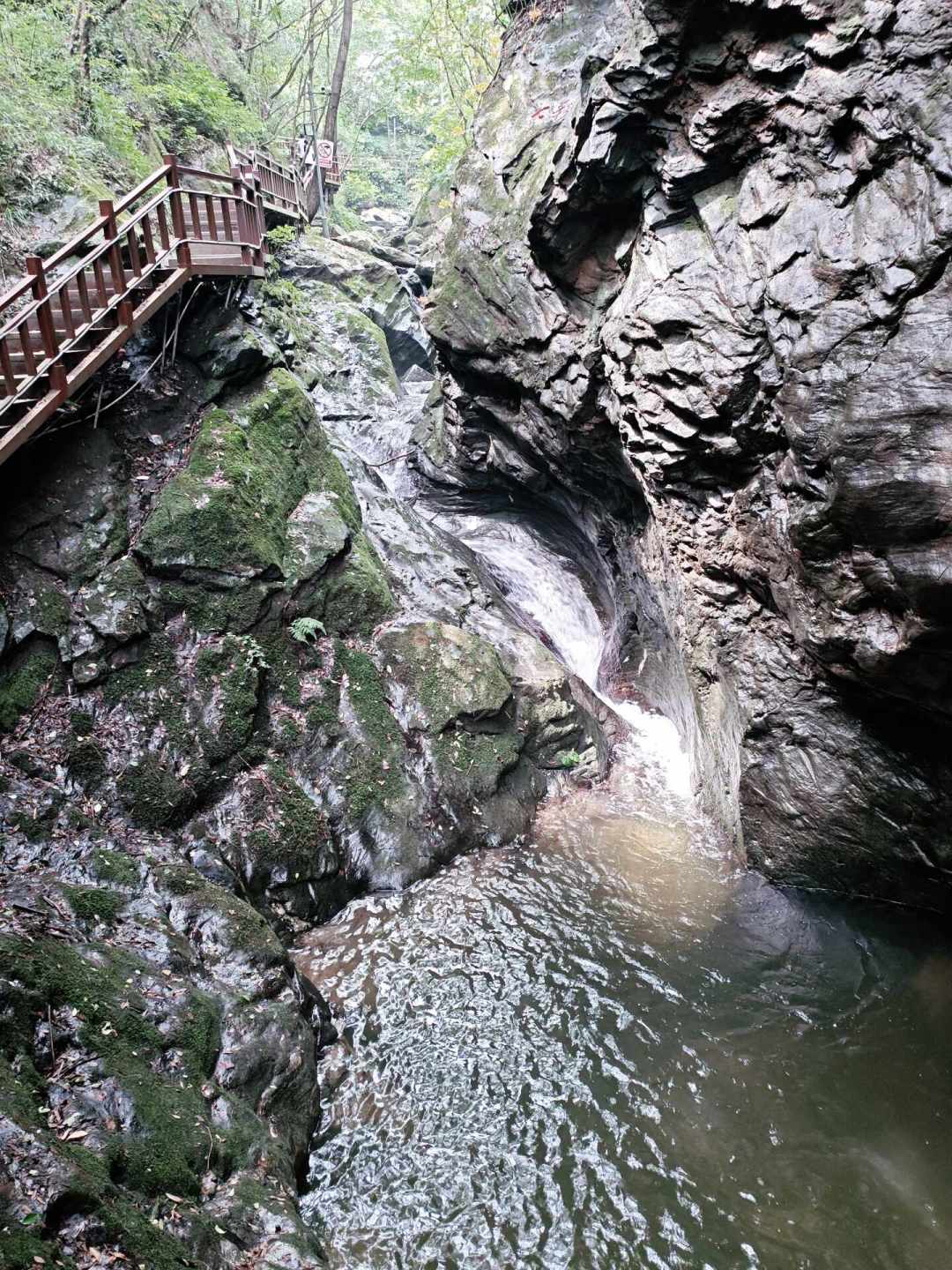 娃每晚十点半不睡、平板刷到没电——暑假最后一周,各地遛娃帖悄悄换成了“收心地”