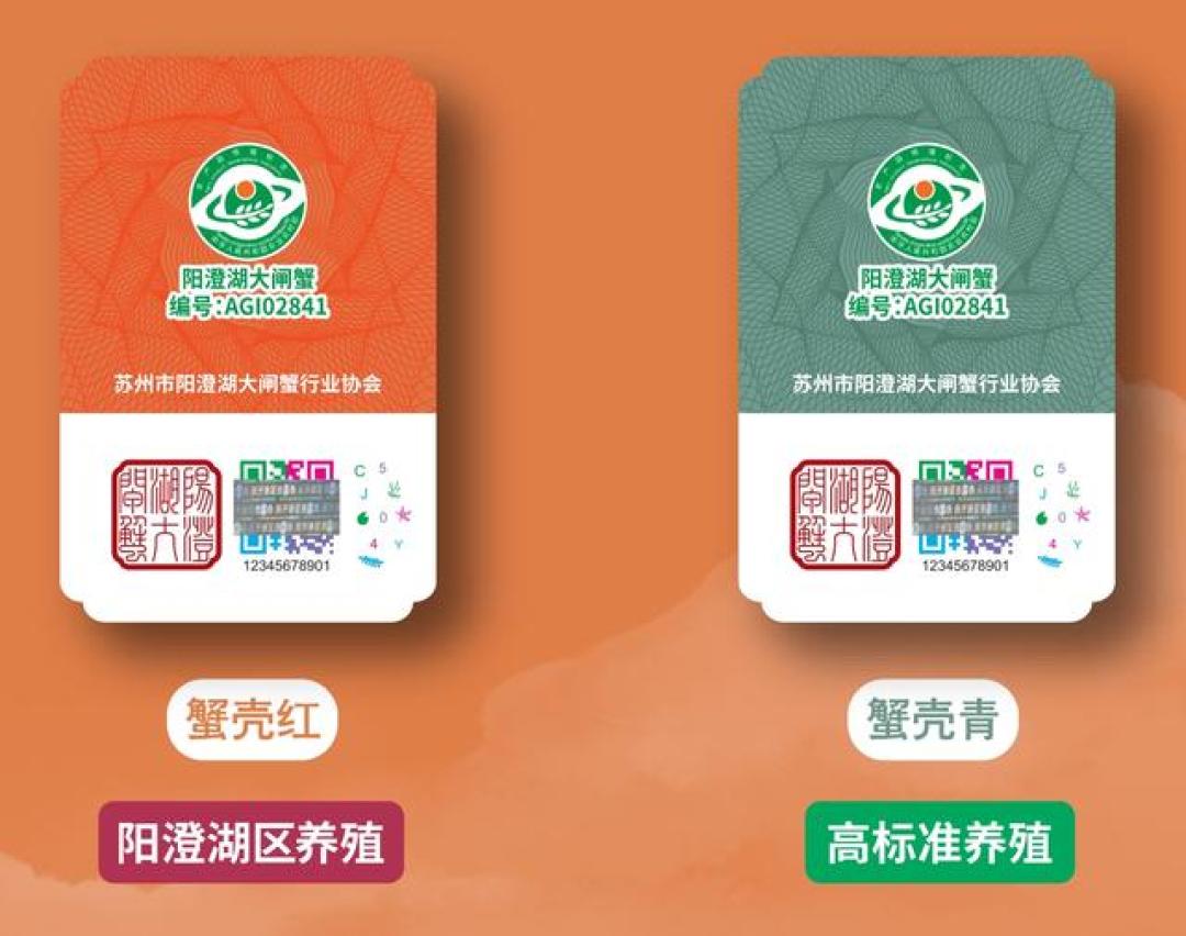 五常大米一年商品量只有66.5万吨，市面上却卖出超1000万吨：中秋送特产之前，先算这笔产量账和4步验真法