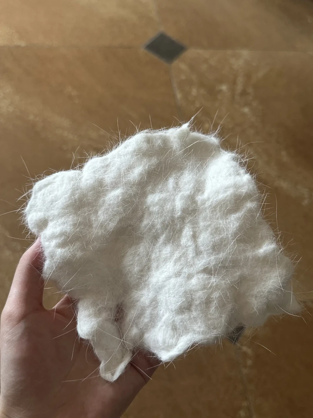 梳下来的猫毛别扔:有人戳出11万赞的拖鞋,有人戳成灰抹布——先看毛况再选路