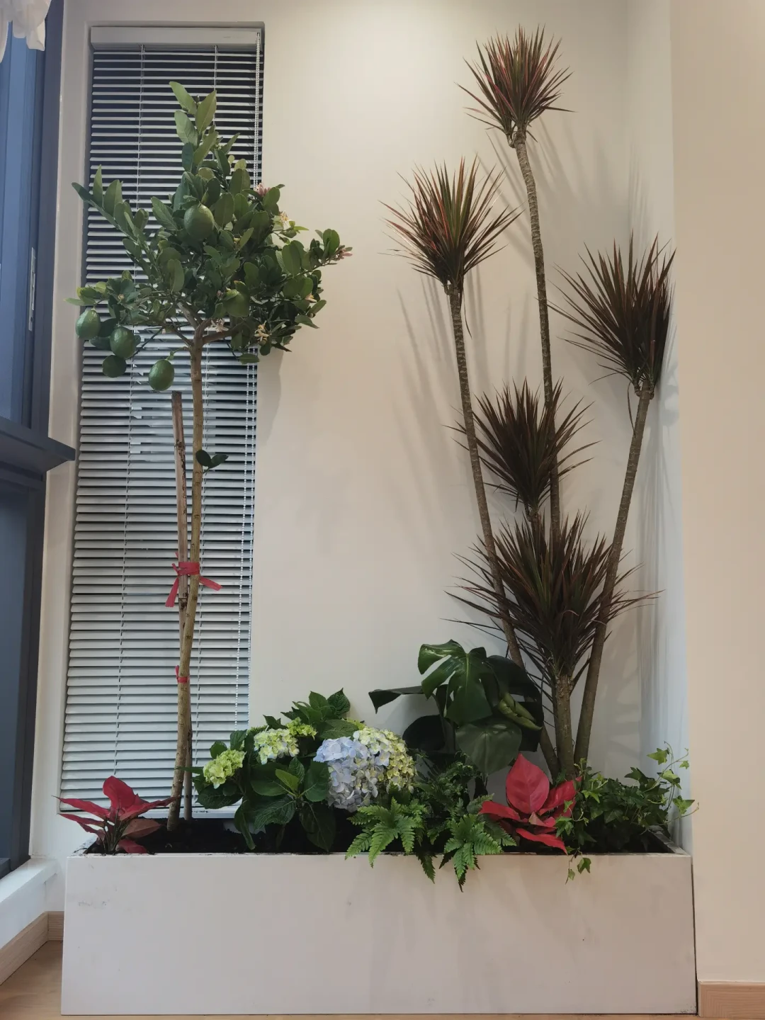 同一个植物角,有人花72元有人花2000多:翻了近期几十篇花费帖,我把四层钱算清了