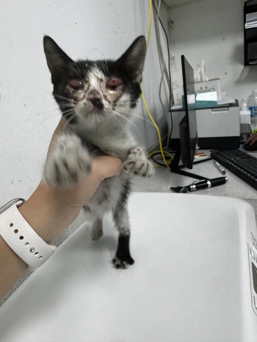和猫住说