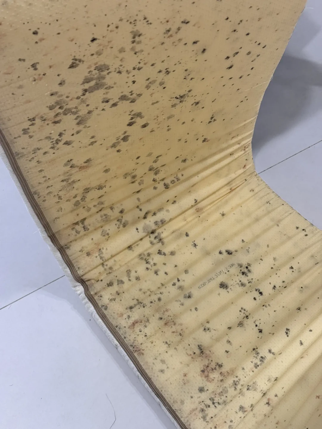 飘窗床：设计师集体反对，小户型却抢着做——对完几十篇亲历帖，我发现成败就看3个硬条件