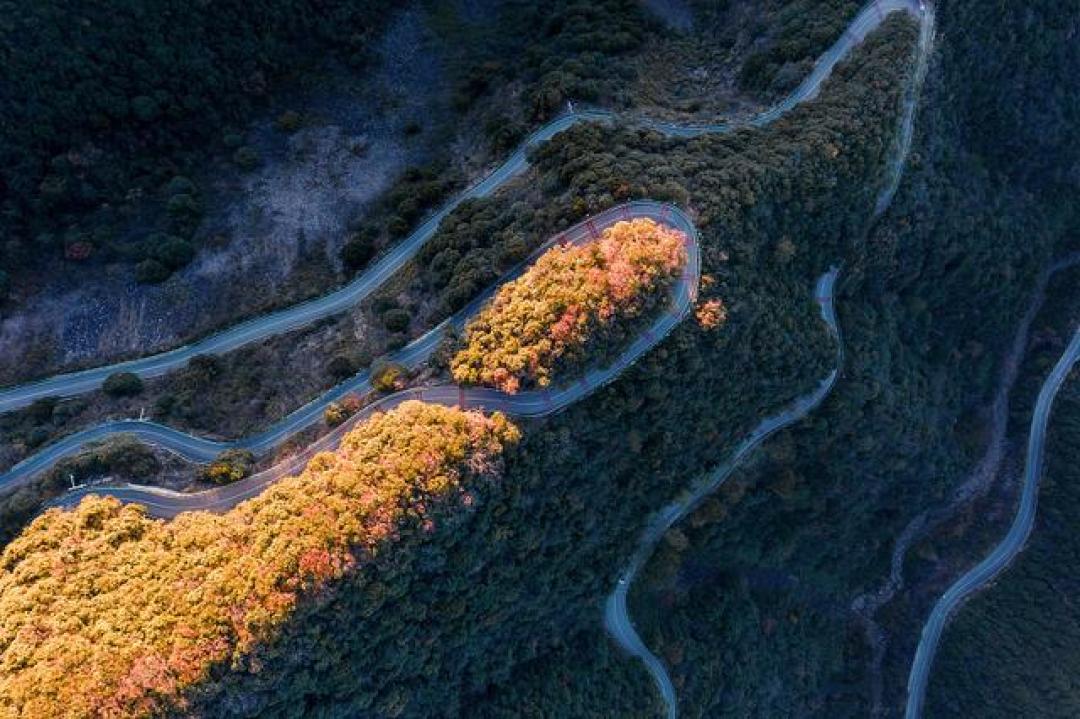 看完这周318的路况,很多人改主意9月再出发:但