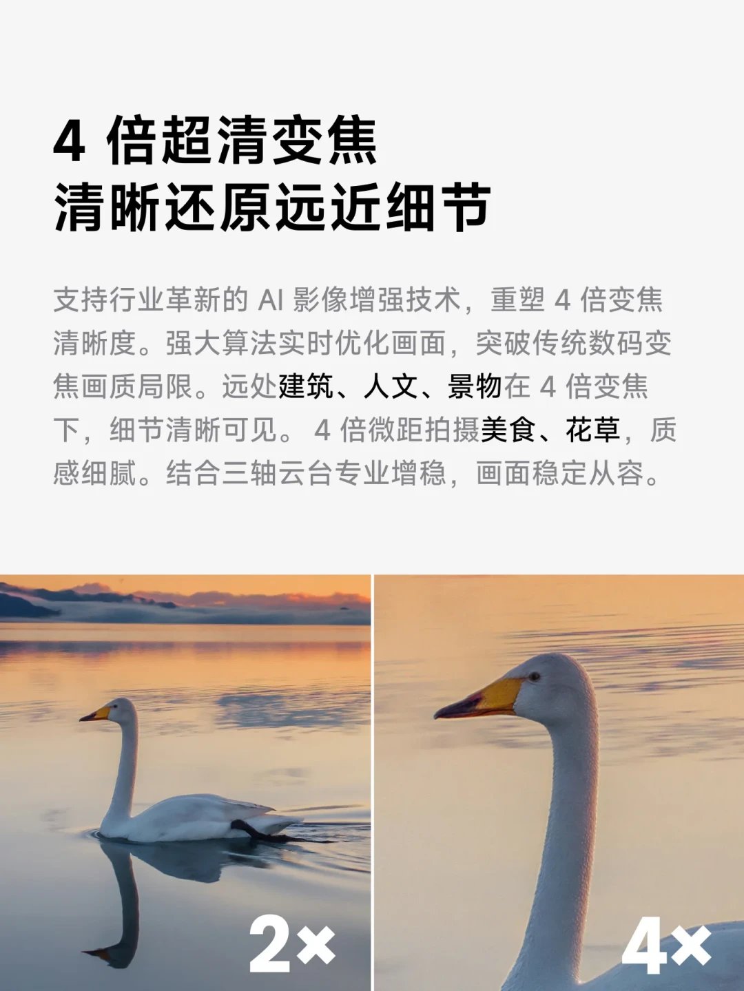 X6卖3999，Luna Pro卖3399：旅行拍摄选全景还是云台相机？翻完全网真实体验，我总结出三个问题