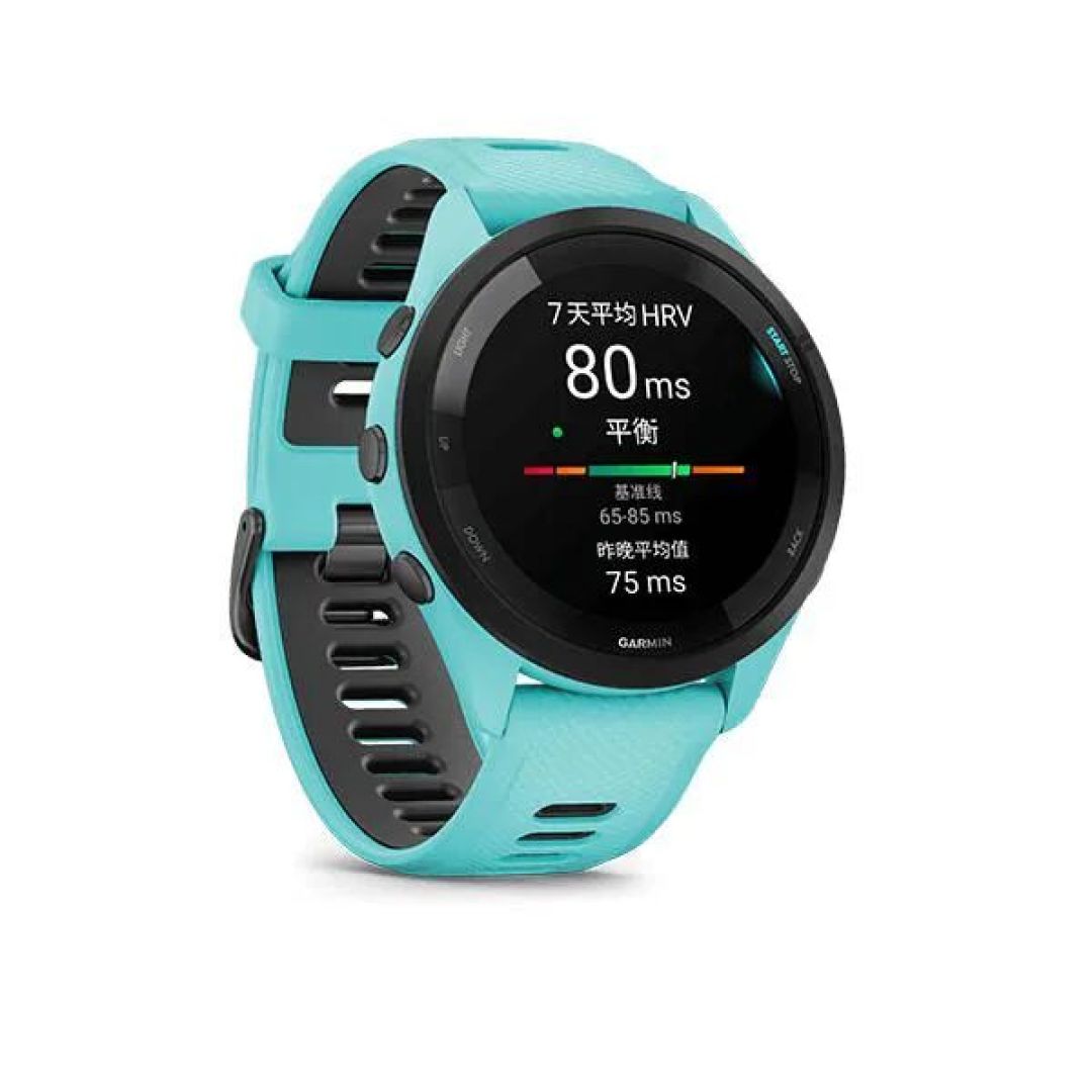 秋季赛事季来了,跑步选 Apple Watch 还是佳明?全网实测对完账,差别就在 0.8% 误差、13 天续航和 1000 公里年跑量