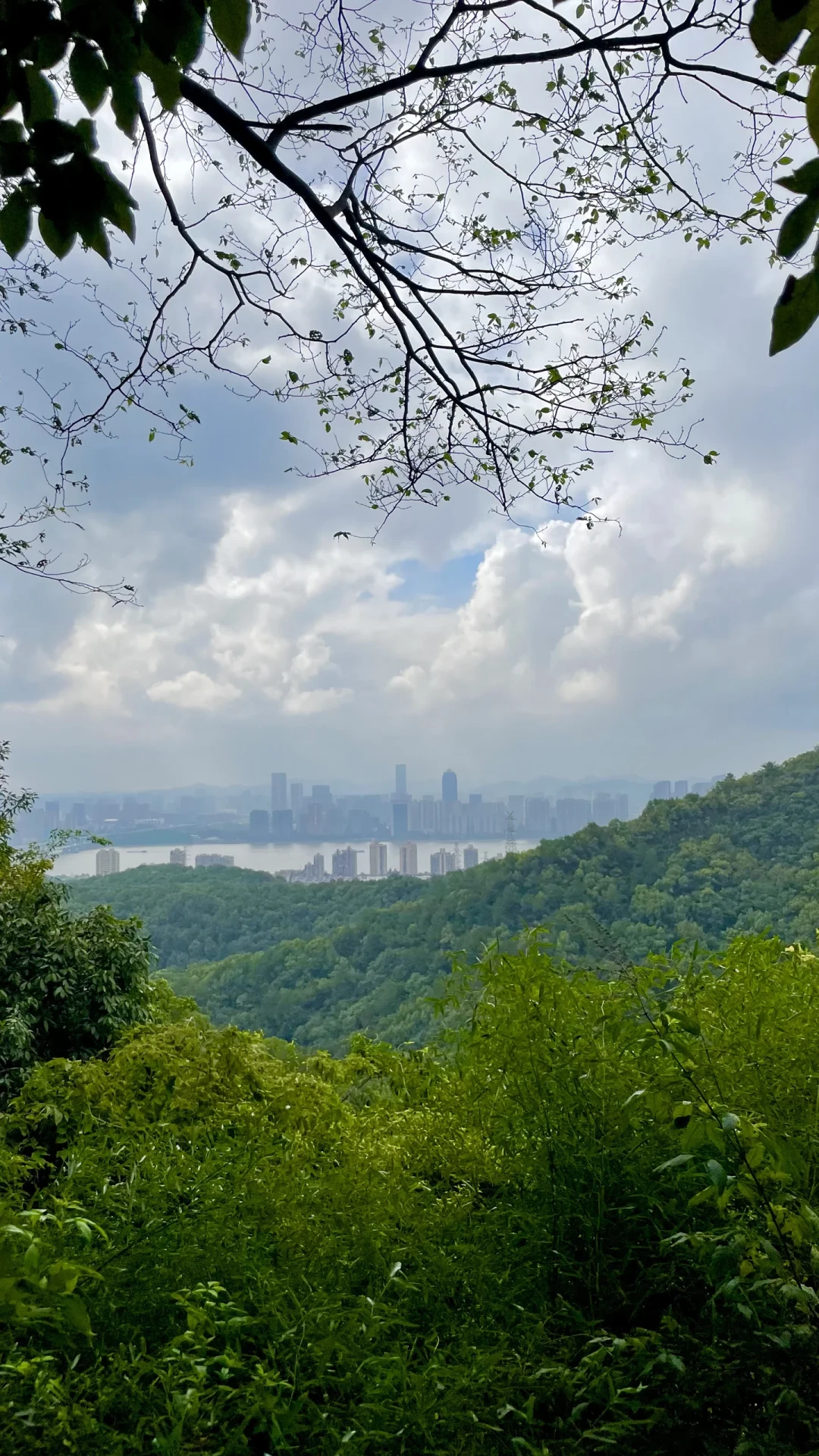 上午10点,一个男人在梧桐山倒下后没能再站起来:翻完这个夏天的城市徒步中暑账,出门前先对6个数字