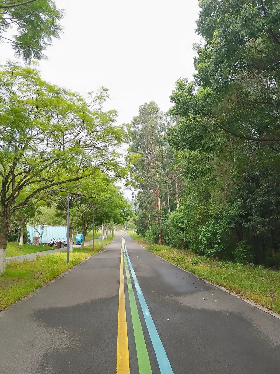 上午10点,一个男人在梧桐山倒下后没能再站起来:翻完这个夏天的城市徒步中暑账,出门前先对6个数字