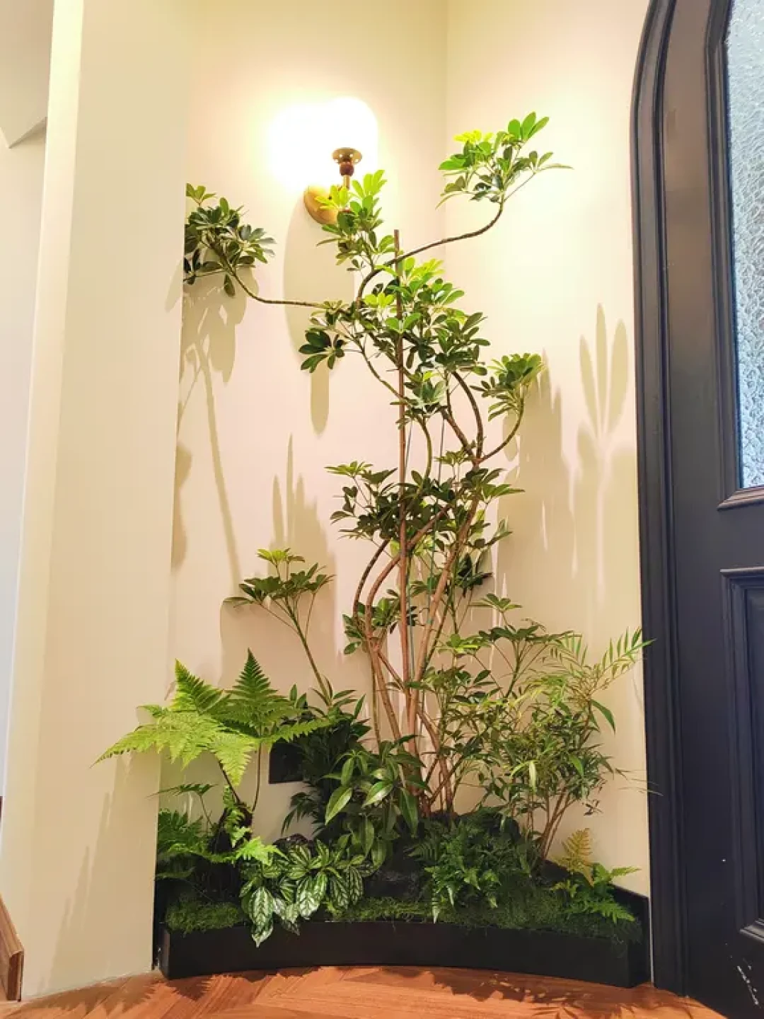 大树底下不长草、植物全背对着你长：翻了20多篇度夏翻车复盘帖，我把绿植造景的