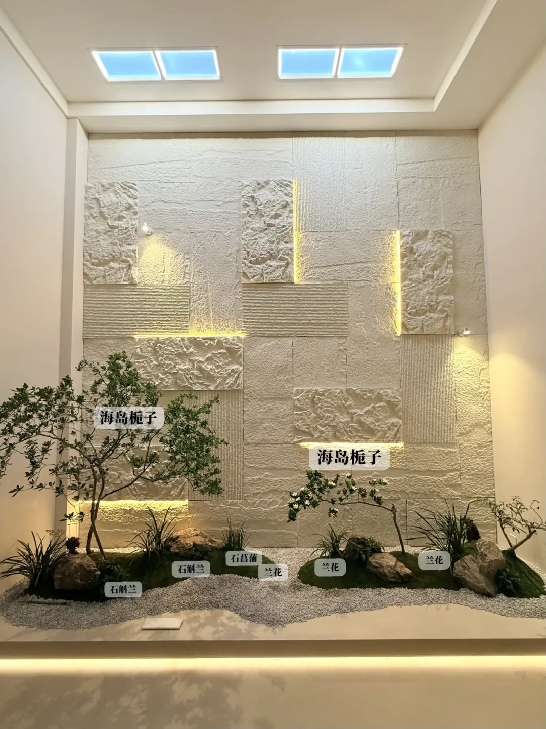 大树底下不长草、植物全背对着你长：翻了20多篇度夏翻车复盘帖，我把绿植造景的