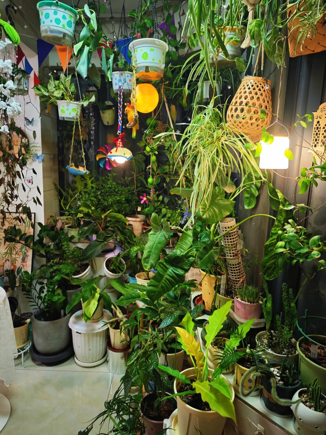 大树底下不长草、植物全背对着你长：翻了20多篇度夏翻车复盘帖，我把绿植造景的