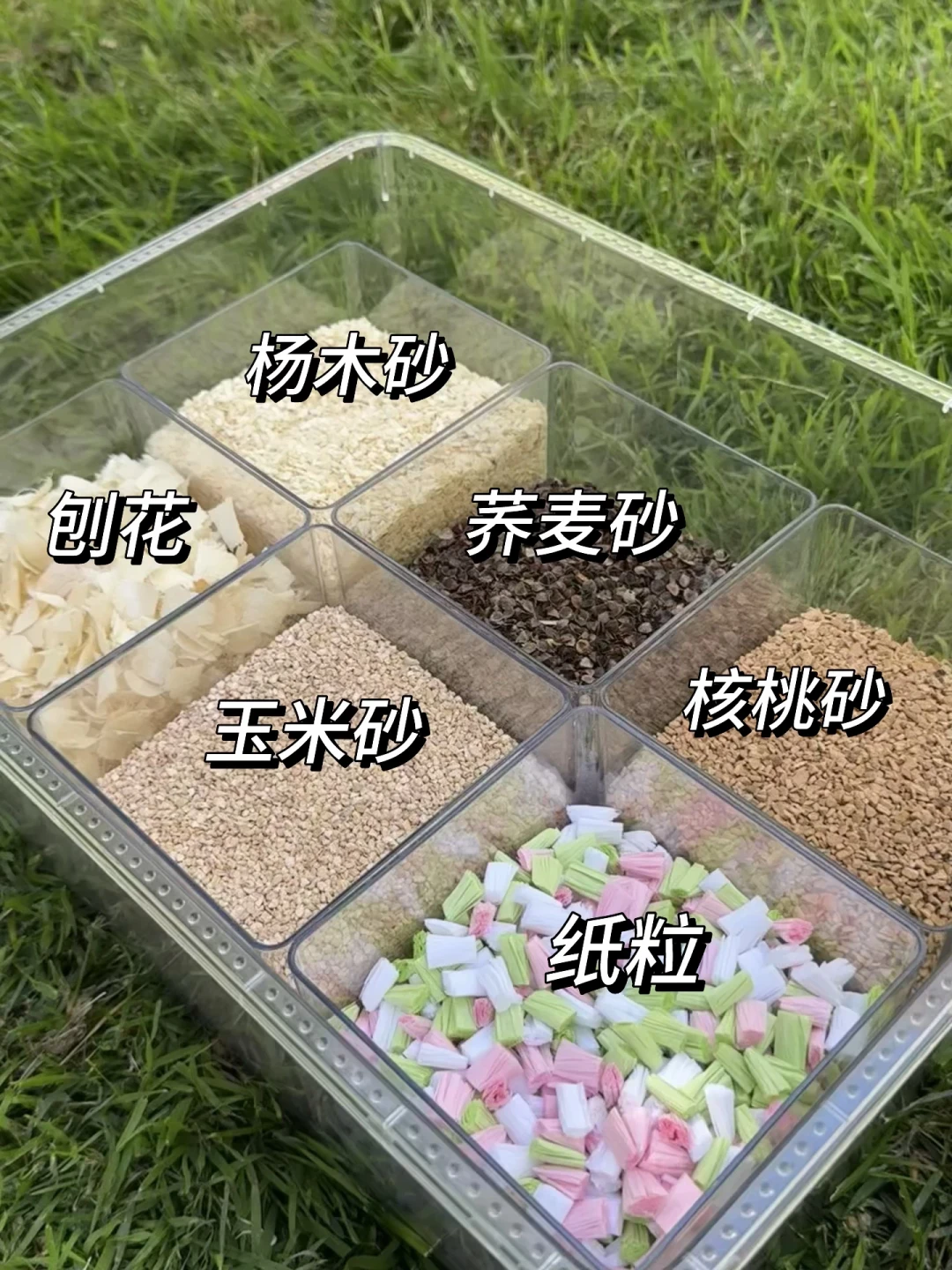 仓鼠夏季换垫料,被吹成