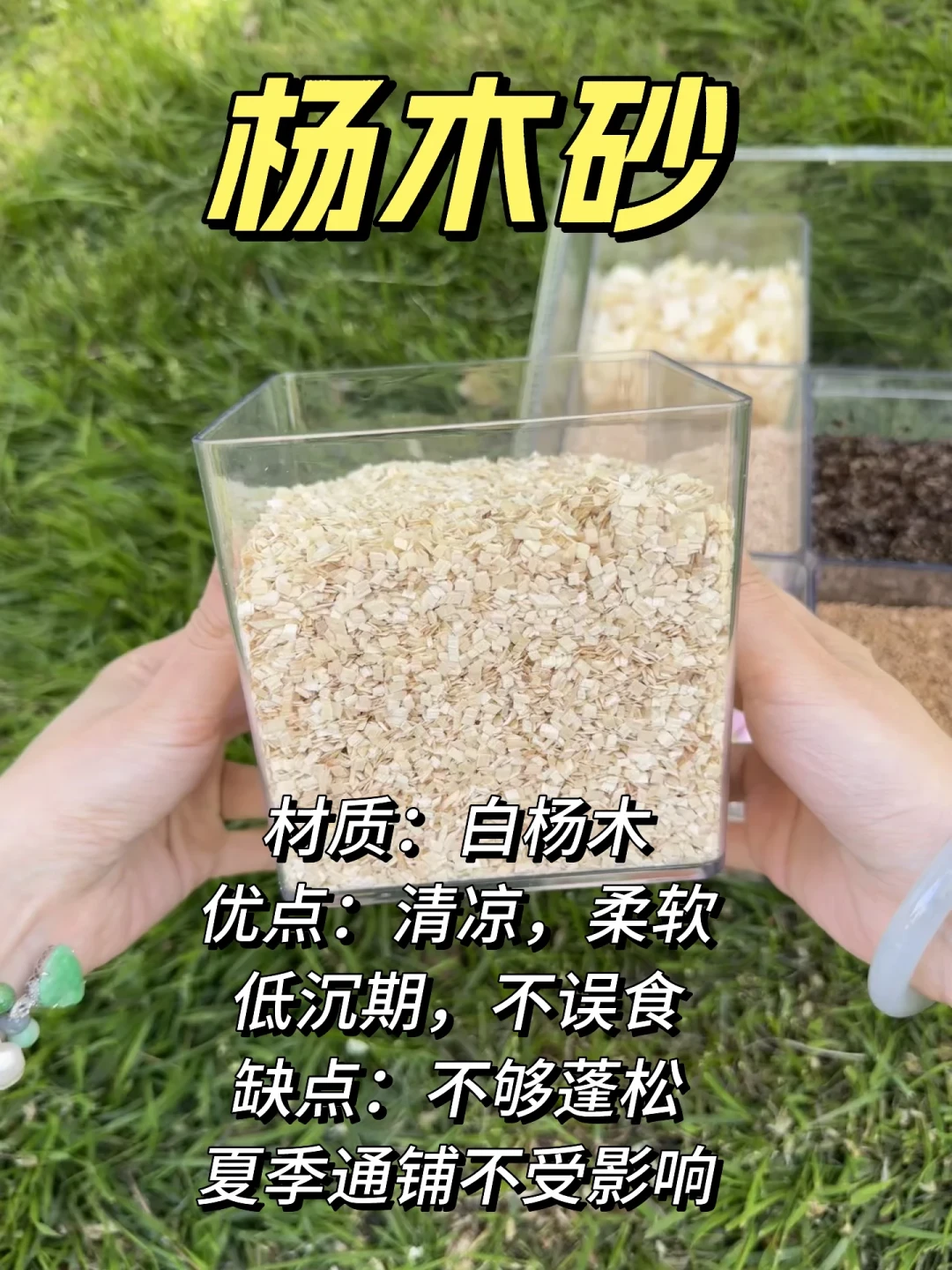 仓鼠夏季换垫料,被吹成