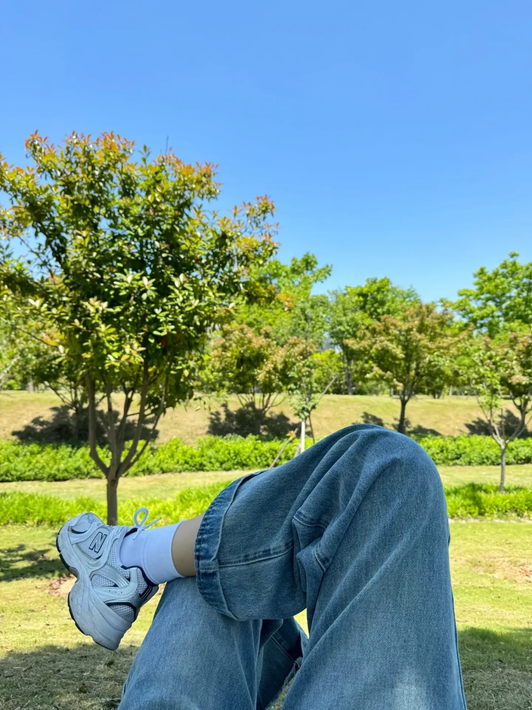 公园20分钟效应是真的，但别随便找块绿地就坐：Nature子刊新研究说，开阔草坪不如林下，0元成本也有讲究