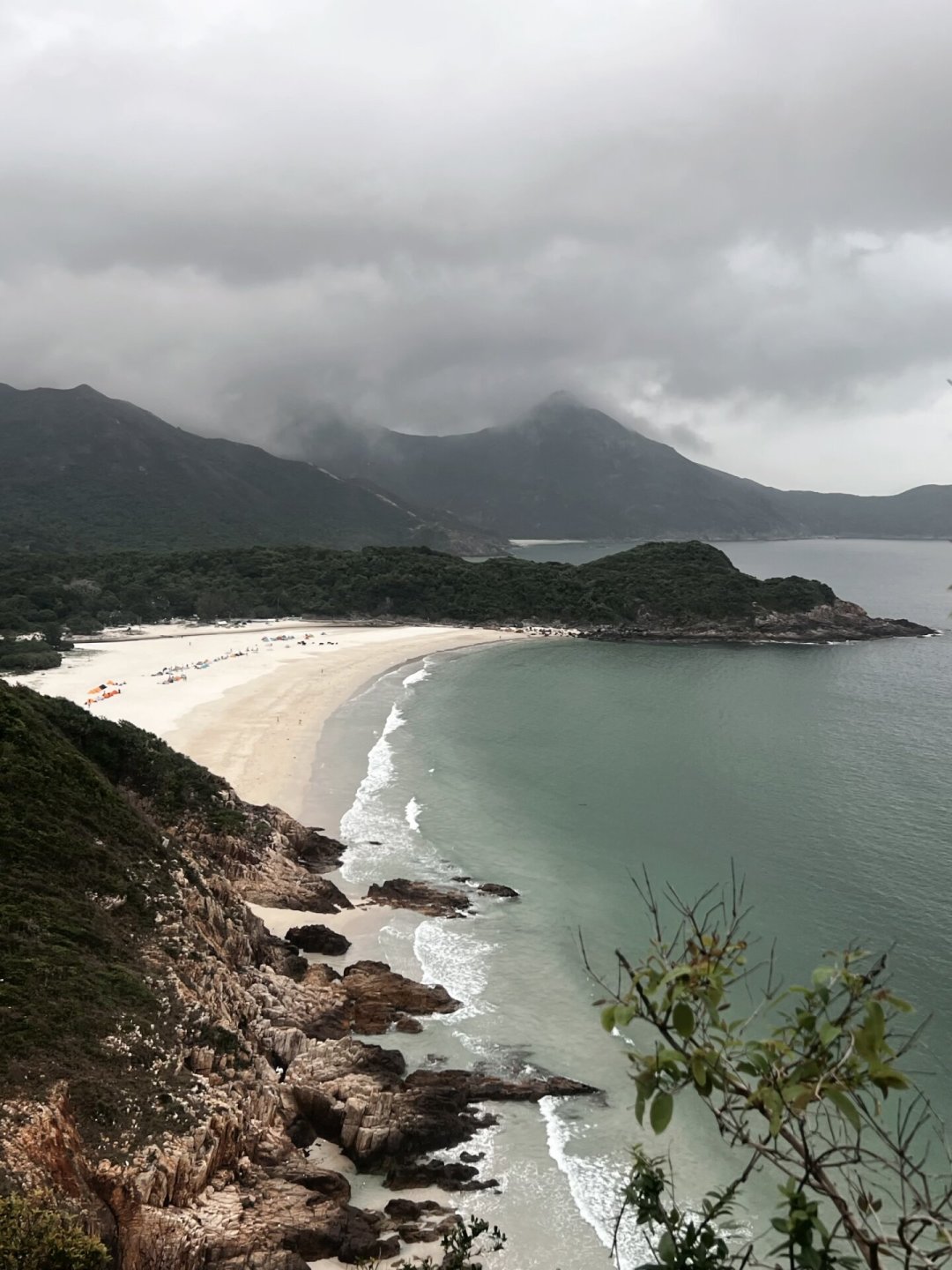 一晚拱烂4顶帐篷、一根蛋白棒拖走背包:我盘了麦理浩径两年的野猪记录,发现3个规律和1个误区