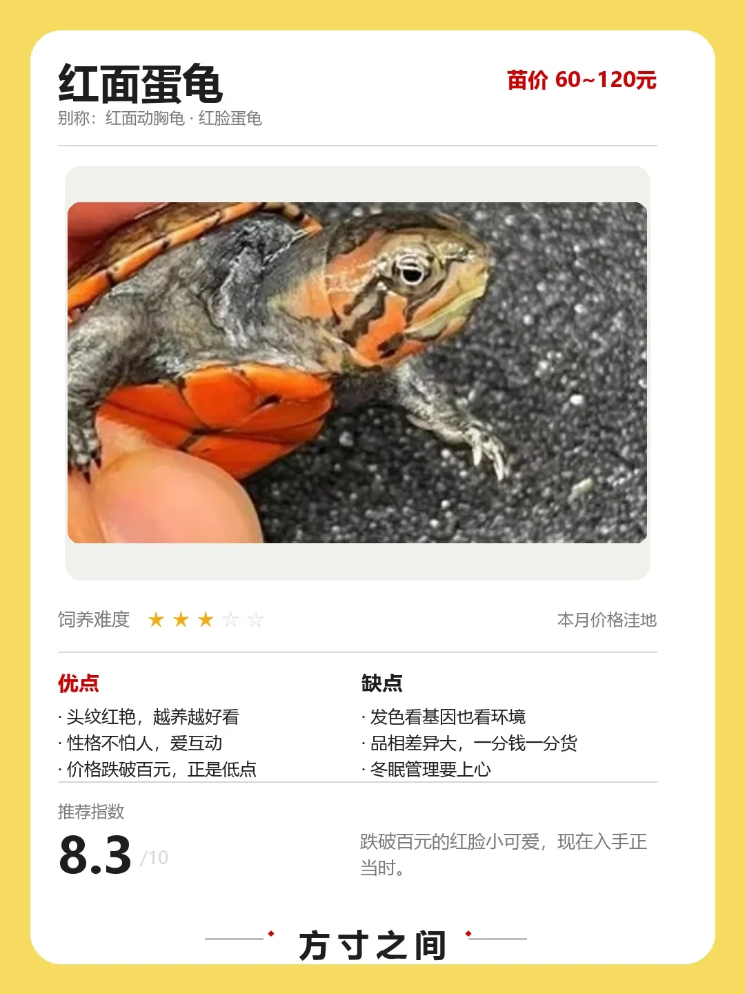 鳄龟被全面禁售,蛋龟反而涨疯了:麝香苗从60涨到120元,8月7品种行情一次说清,下单前先过这4关