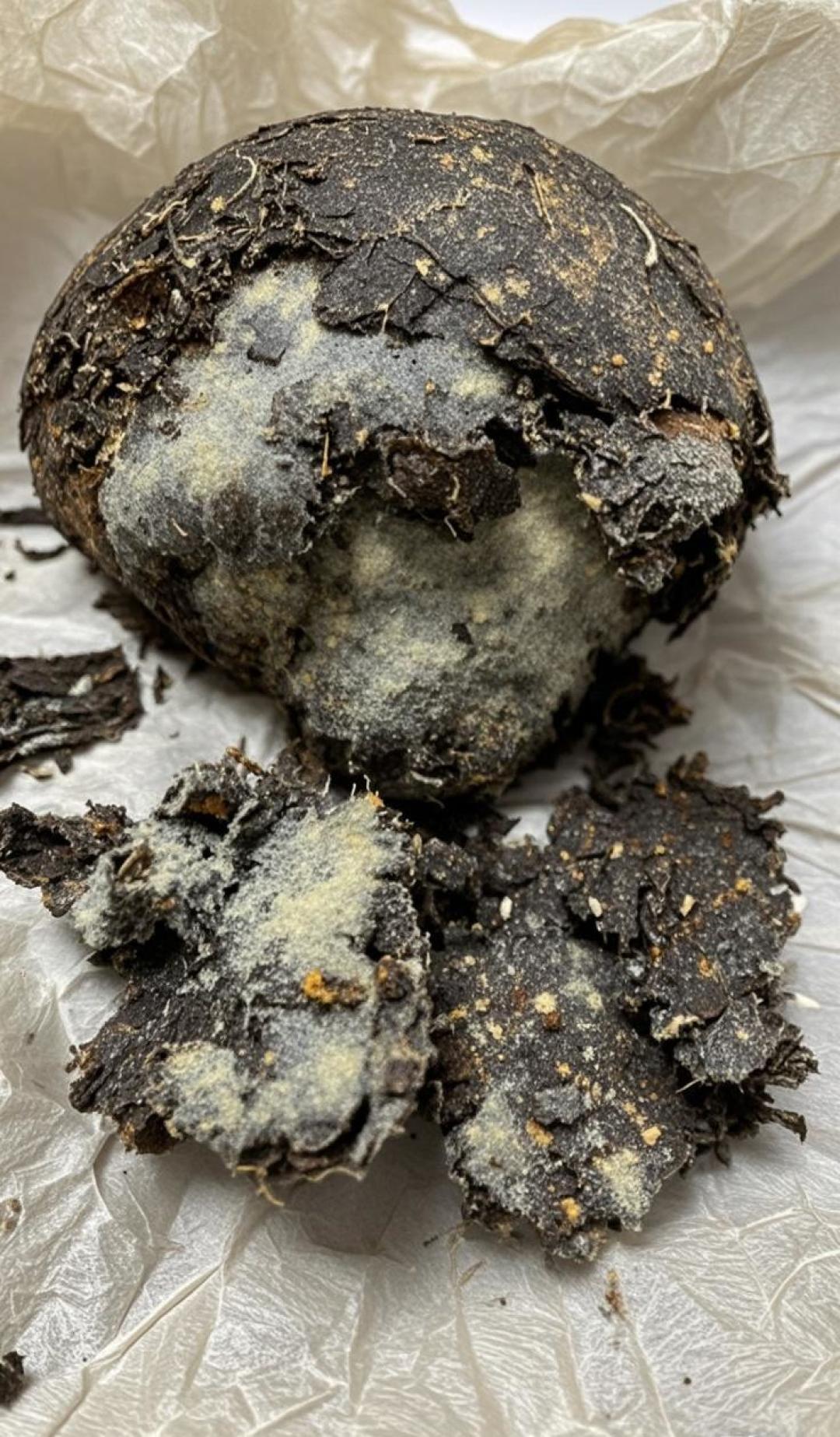 2101批7542破发61%,普洱老茶行情大跳水:3种便宜茶,只有1种值得捡