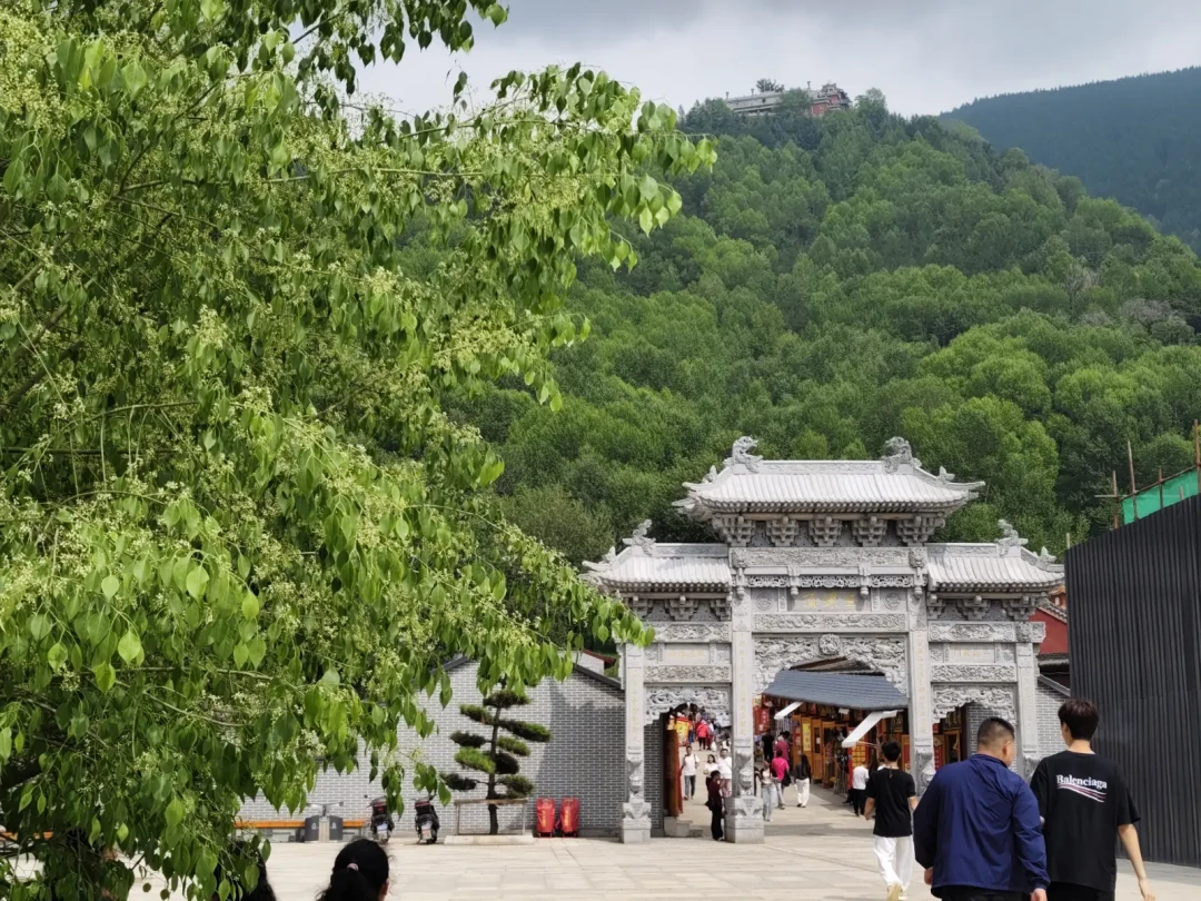 丁元英能算到结局,为什么还要去五台山求“心安”?我把《天道》最难懂的一场戏翻成了人话