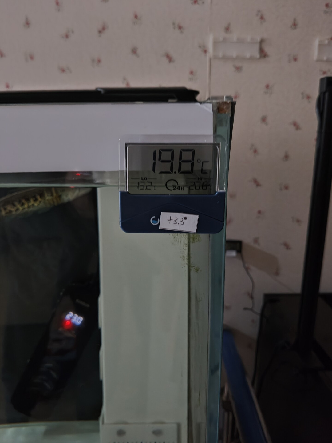 拔了3个月的加热棒,该插回去了吗?出伏后这4类缸要先插