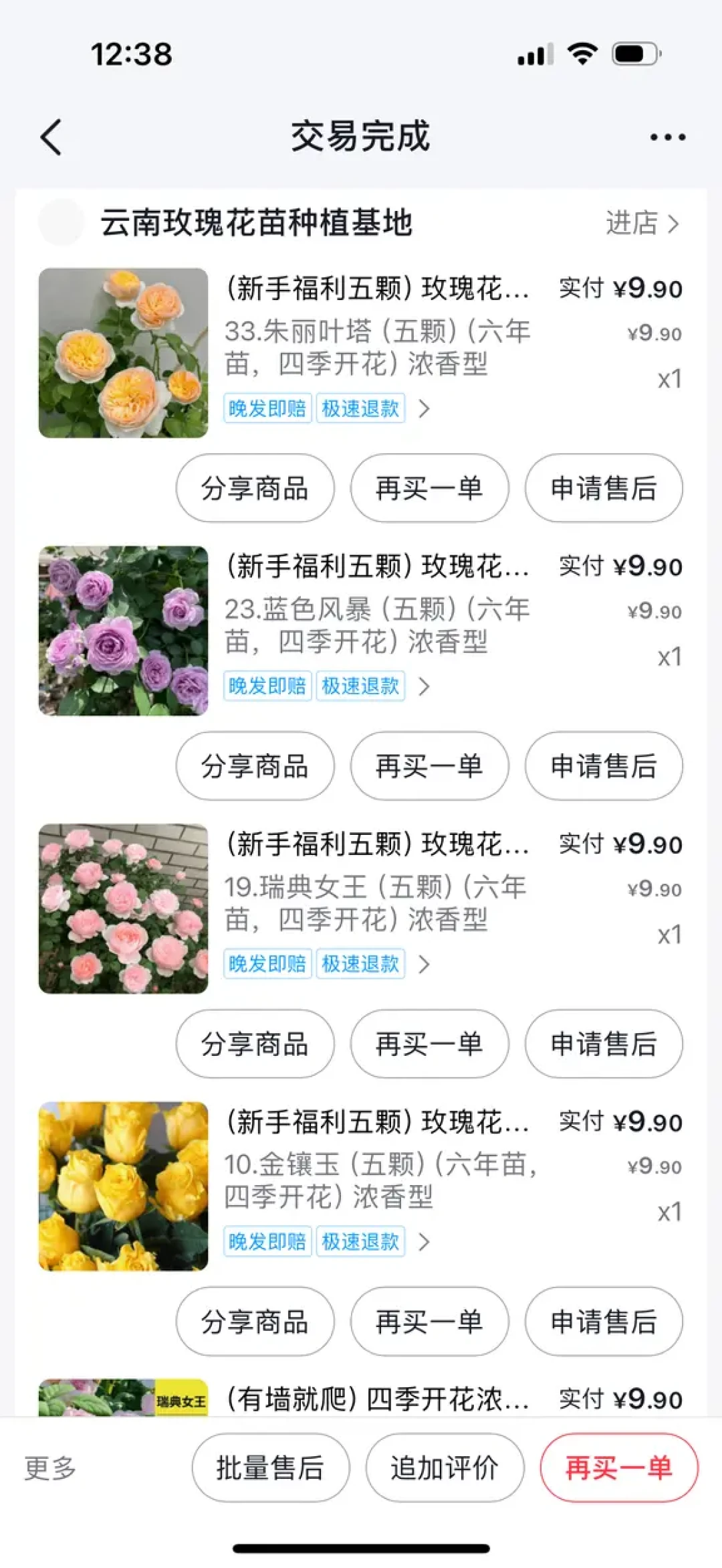 秋种球季来了,