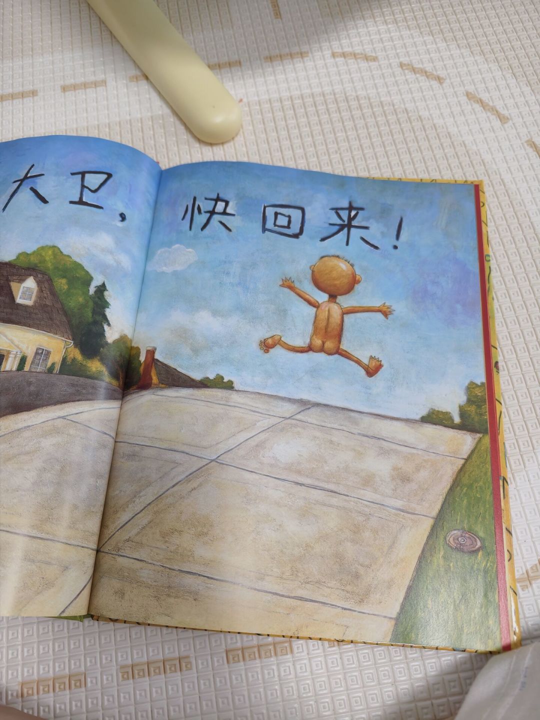 全网又在刷