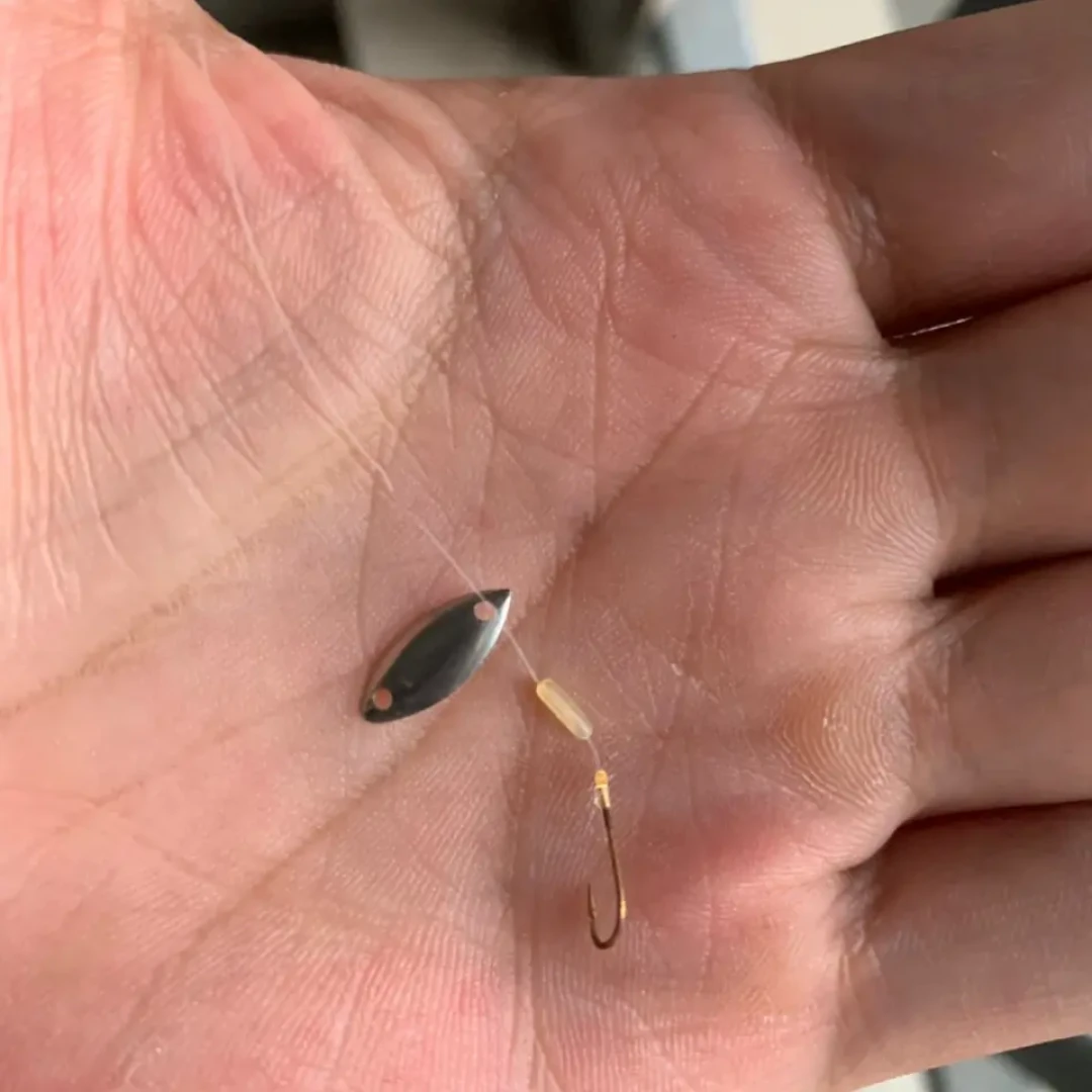 亮片停口想换飞蝇钩?翻完这两周四平台的实测,先把你是哪种情况搞清楚