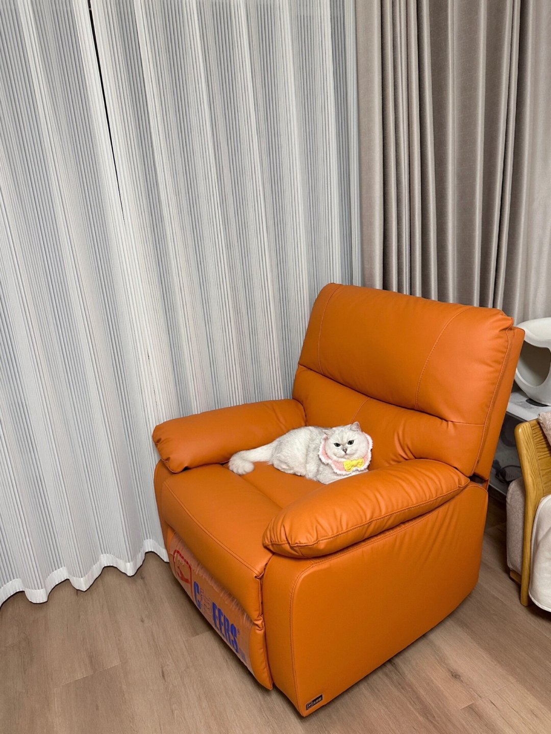 猫爪绒防抓不防夹:静止的电动沙发卷断过猫尾,养猫家庭入手芝华仕前先问4个问题