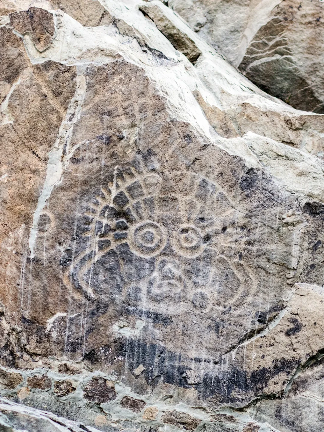 贺兰山岩画