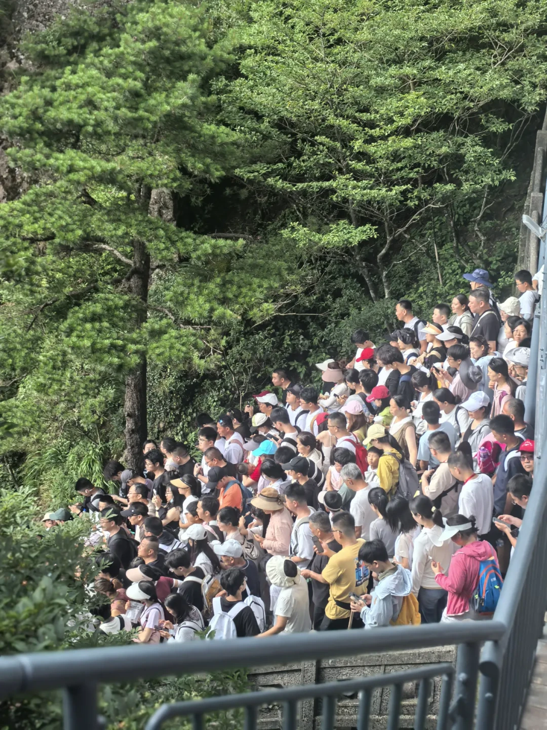 玉屏上还是云谷上?翻完近两个月20多条实走记录,黄山路线之争有答案了
