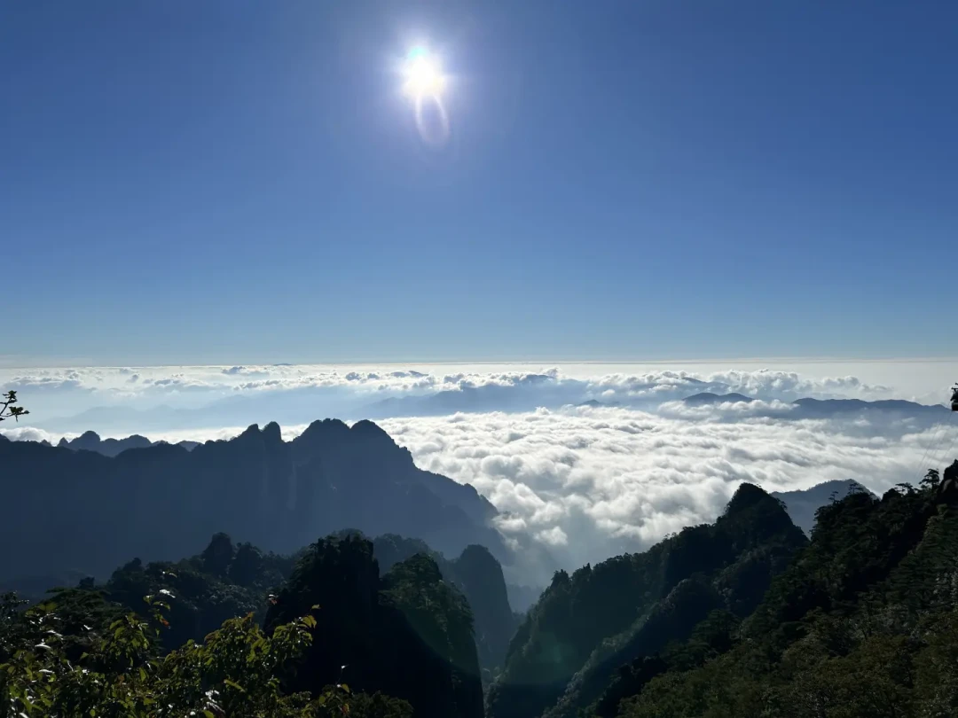 玉屏上还是云谷上?翻完近两个月20多条实走记录,黄山路线之争有答案了