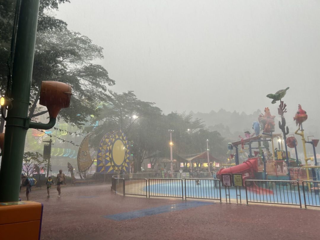 预报明天雷阵雨,还去不去长隆?翻了20多条雨天实测,这份决策指南请收好