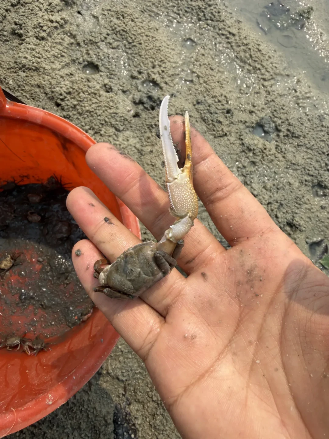潮汐缸爆火,但劝你先别急着入坑:评论区问得最多的5个问题,答案都在这了