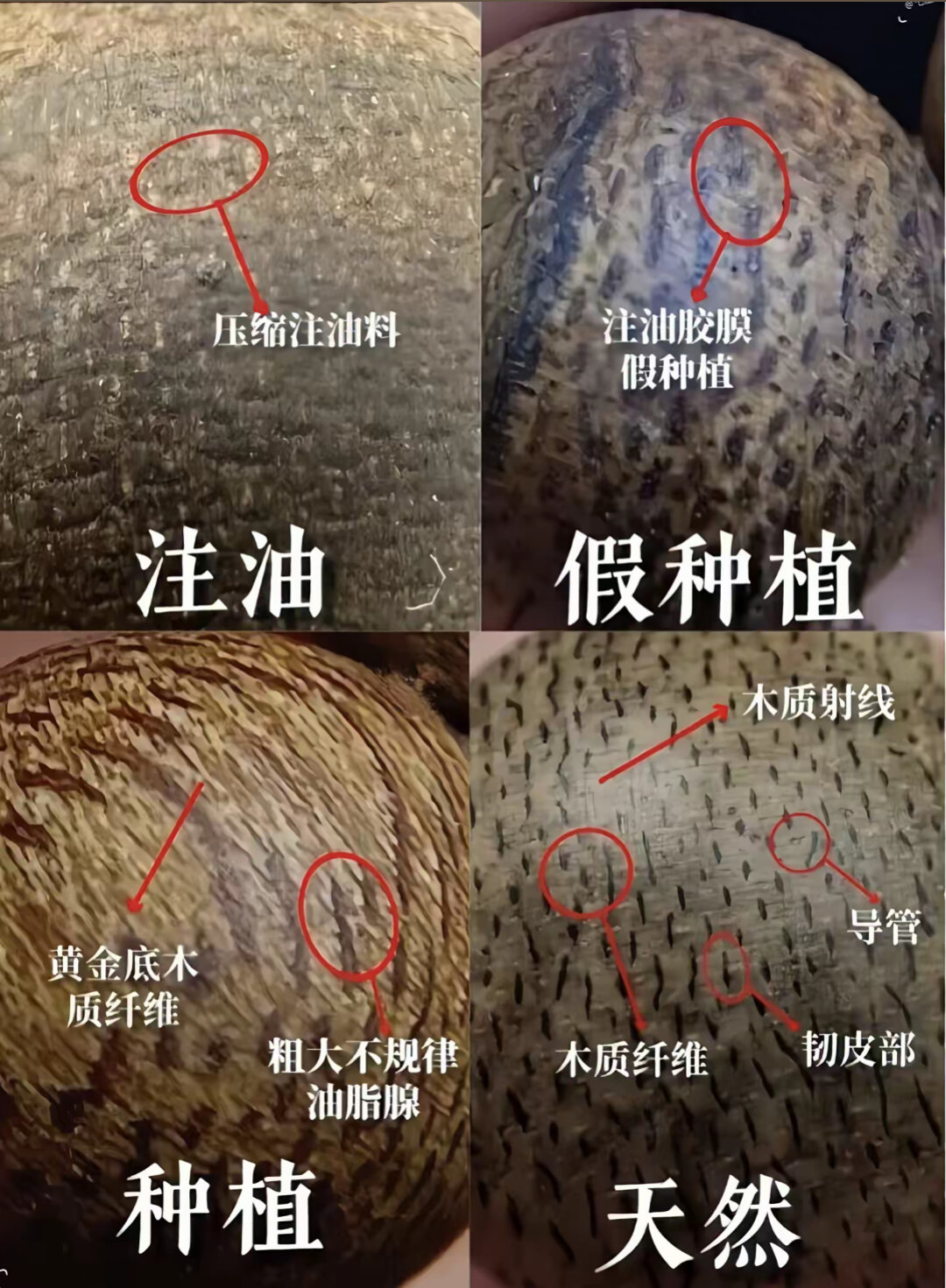 千万不能盘,还是越盘越香?沉香手串保养的四大争议,一次说清