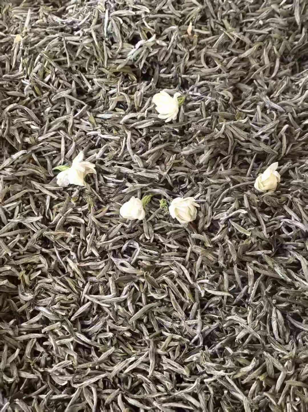 2026伏花茉莉花茶新茶全面上市:别急着追“九窨十窨”,先看清钱花在哪再下单