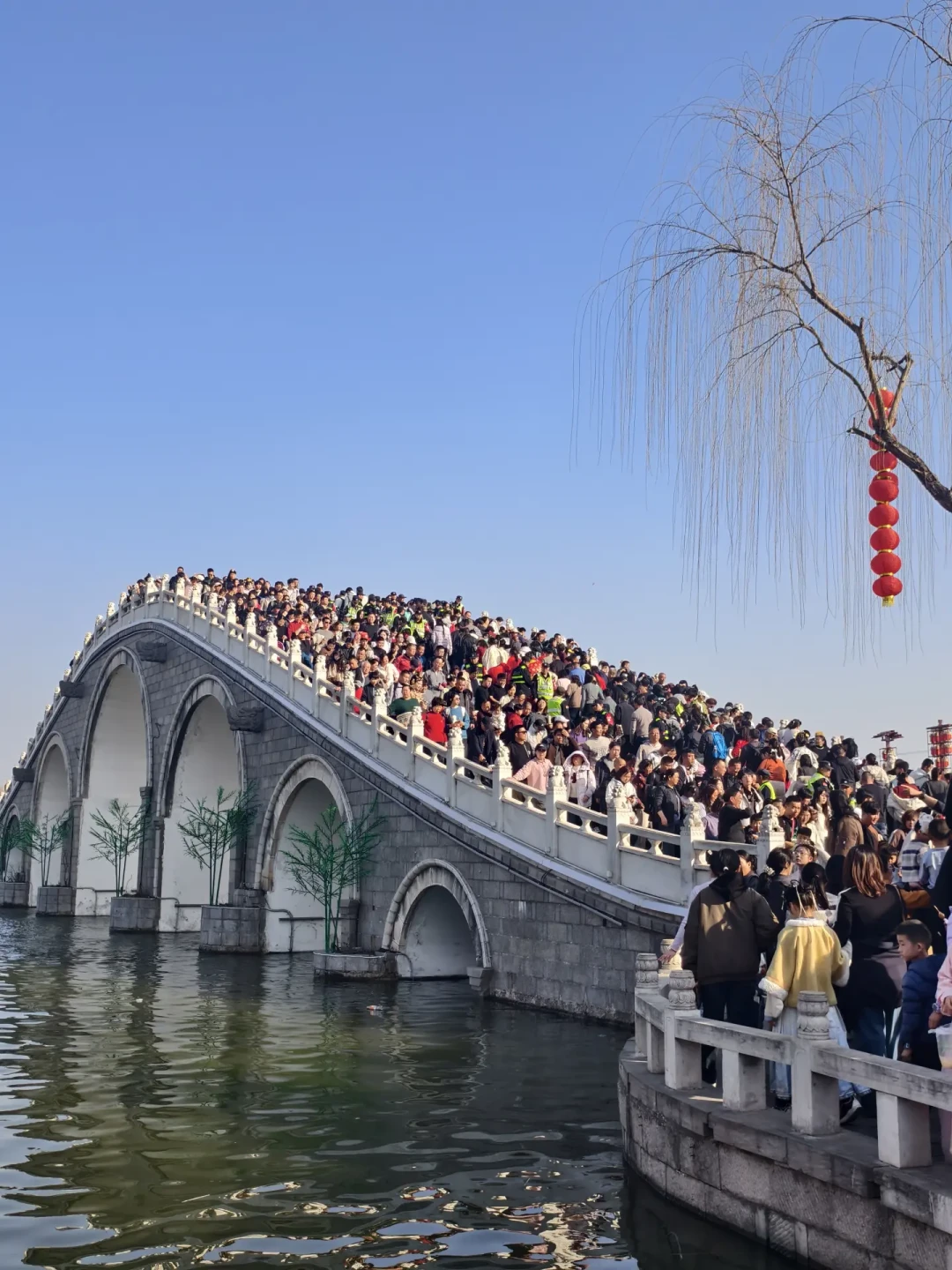 一半人喊避雷,一半人说值得:清明上河园的8月口碑,到底该信谁?