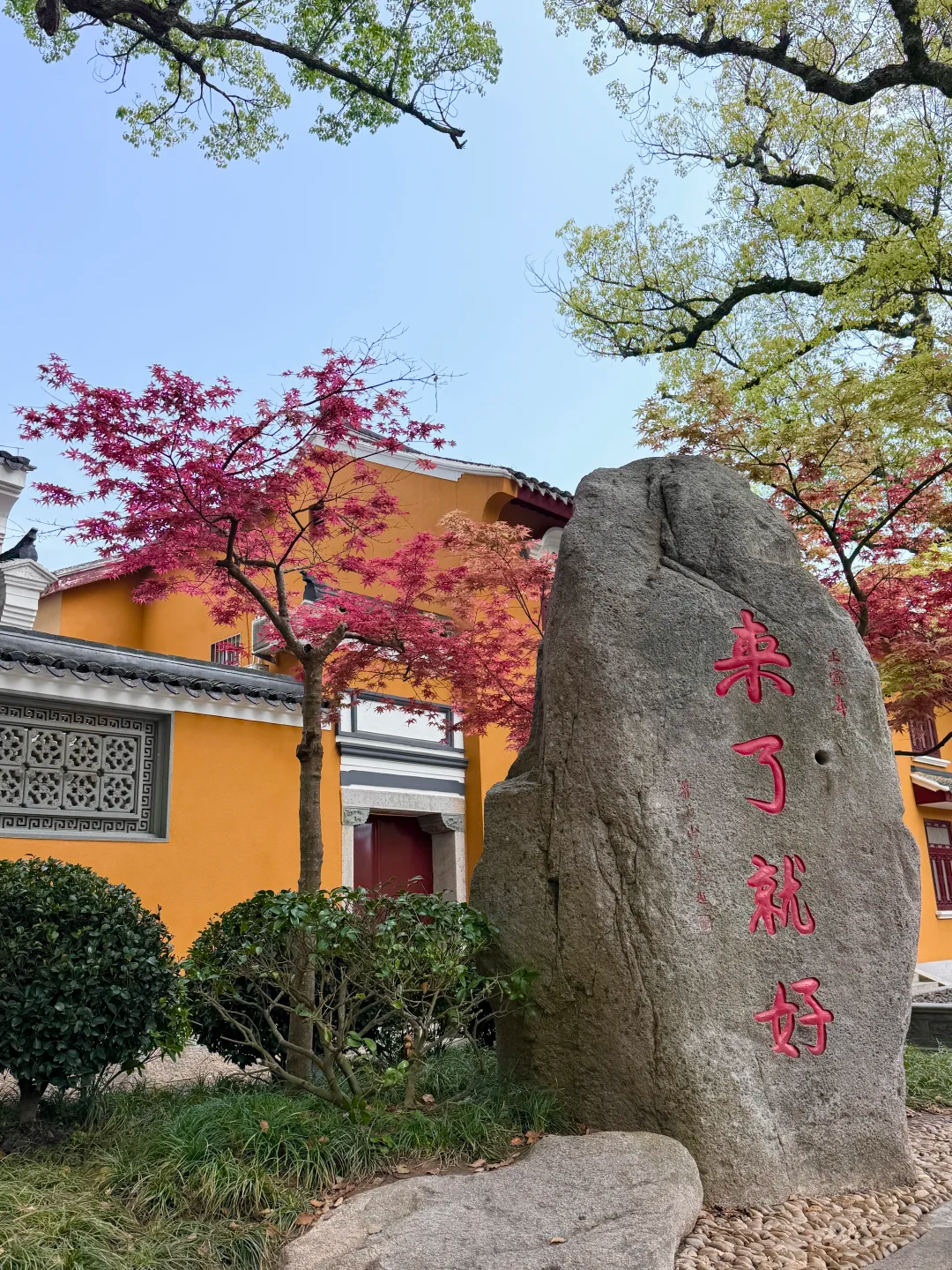 8月23日早普陀山航线又停航:一个半月三次台风干扰,去拜观音前先学会查航班