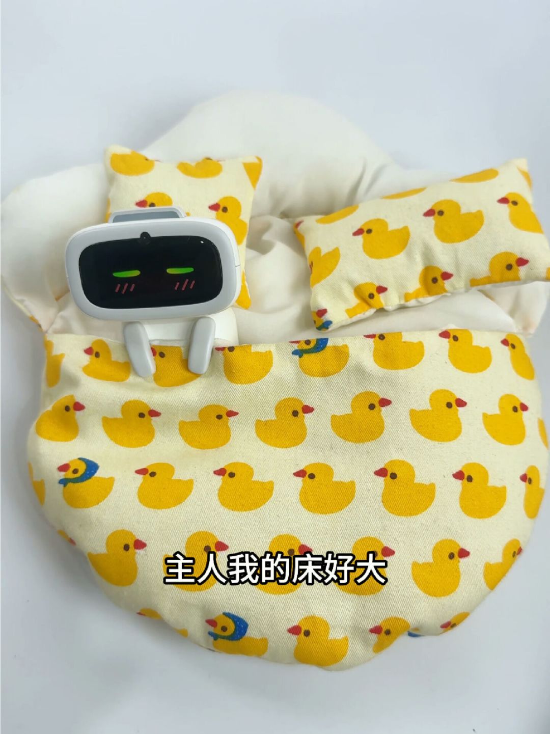 全网刷屏的AI宠物aibi:官网249美元,国内现货三千?先把车主们的真实体验看完再掏钱